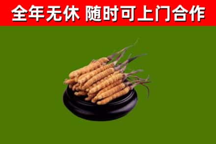 光山县烟酒回收冬虫夏草.jpg